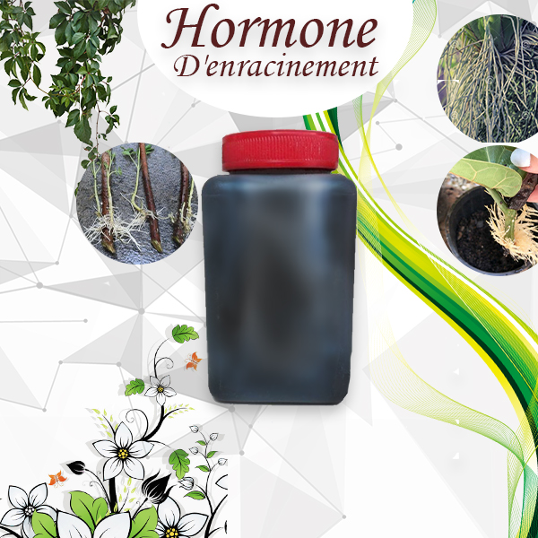 Hormone de bouturage Rhizopon 20 comprimés
