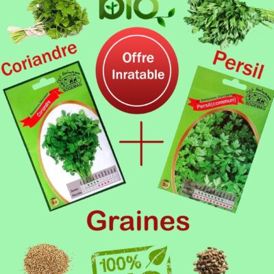 2 Sachets De Graines Coriandre Persil Plantopia Maroc