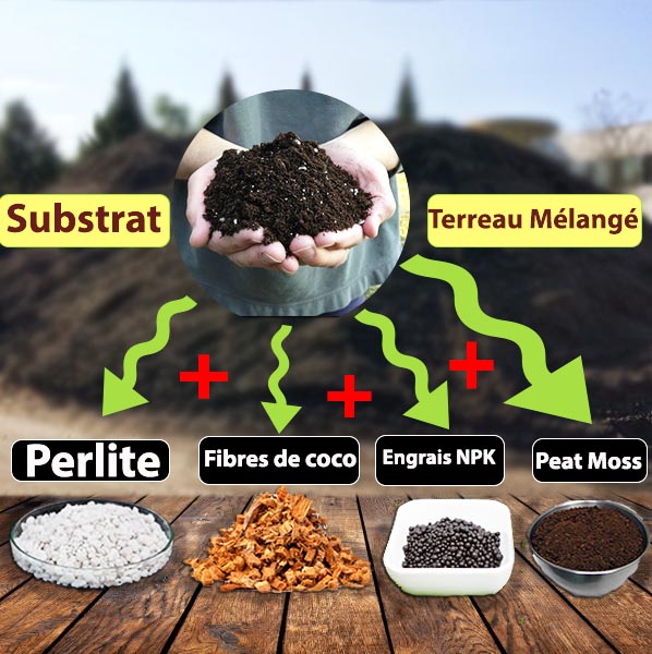 Terreau - Substrat de Culture et Rempotage - 20L - Plantopia Maroc