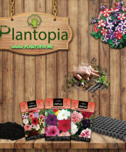 Set outils à main - Kit 4 en 1 - Plantopia Maroc