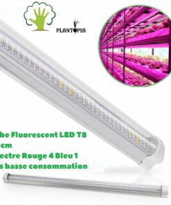 Tube LED T8 pour lumière & éclairage Horticole - Plantopia Maroc