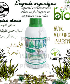 Sécateur de jardin Prise confortable - Plantopia Maroc