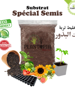 Billes d'argile naturelles pour paillage et drainage - Plantopia Maroc
