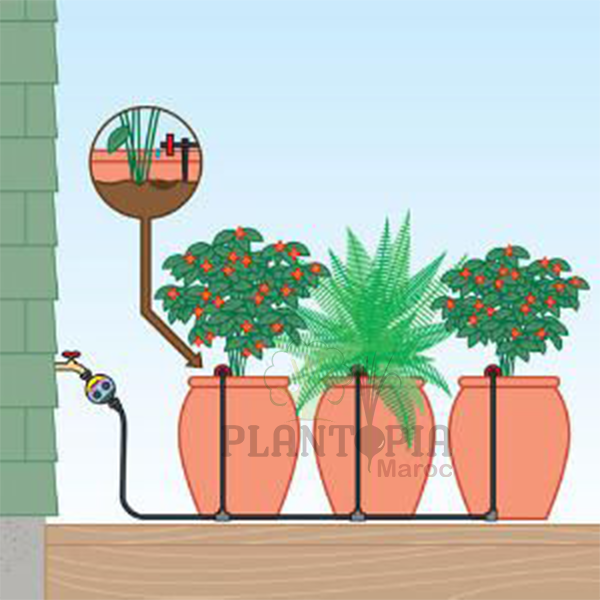 Kit irrigation goutte à goutte 15M - Pot & pleine terre - Plantopia Maroc