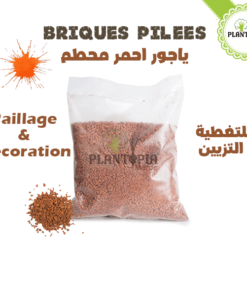 Pouzzolane Maroc - Paillage & substrats - Plantopia Maroc
