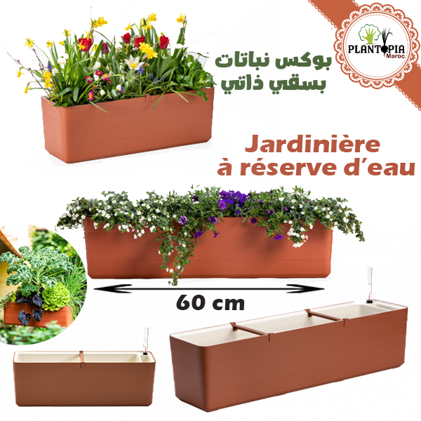 Jardinière moderne à réserve d'eau Terracotta - Plantopia Maroc - Promo