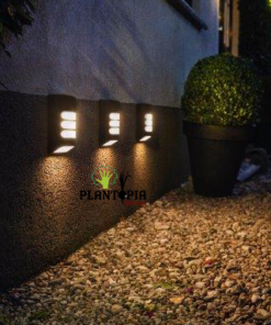 Tube LED T8 pour lumière & éclairage Horticole - Plantopia Maroc