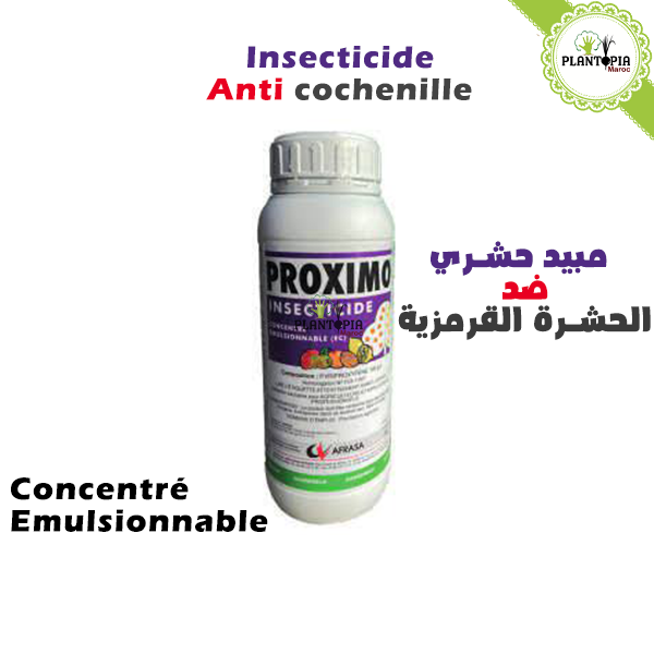 Pastille anti insecte NEXIS Maroc