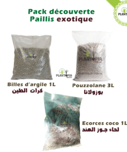 3 Sachets de Graines Coriandre + Cèleri + Persil - Plantopia