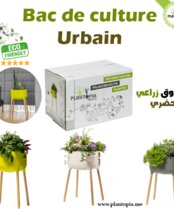 Système d'Auto-Arrosage Adaptable à Tout vos Pots & Plantes - Plantopia  Maroc